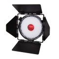 Wrota Rotolight Neo