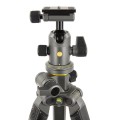 VGALTA_PRO_2Plus_263AB_100Z02.jpg