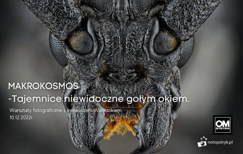 MAKROKOSMOS -Tajemnice niewidoczne gołym okiem.(1).png