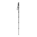 Monopod video Gitzo Traveler Seria 2 GM2562T