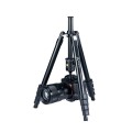 Statyw VANGUARD VESTA FB 235AB Notopstryk