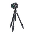 Statyw VANGUARD VESTA FB 235AB Notopstryk