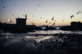 Obiektyw Lensbaby Creative Bokeh Optic