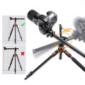 Statyw K&F Concept K234A7 230 cm z funkcją monopodu + Głowica kulowa