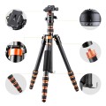 Statyw K&F Concept BA225 152 cm z fukcją monopodu + Głowica kulowa