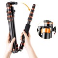 Statyw K&F Concept BA225 152 cm z fukcją monopodu + Głowica kulowa