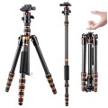 Statyw K&F Concept BA225 152 cm z fukcją monopodu + Głowica kulowa