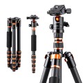 Statyw K&F Concept BA225 152 cm z fukcją monopodu + Głowica kulowa