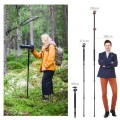Statyw K&F Concept SA254T1 240 cm z kolumną łamaną i fukcją monopodu + Głowica kulowa