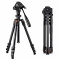 Statyw K&F Concept K234A0/KF09115 177 cm z uchwytem do telefonu + Głowica 3D