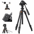 Statyw K&F Concept K234A0/KF09115 177 cm z uchwytem do telefonu + Głowica 3D