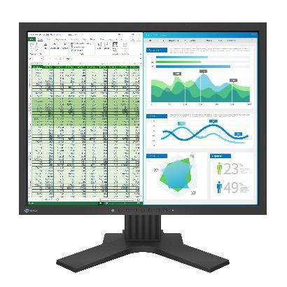 Monitor Eizo FlexScan S2134
