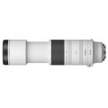 canon 200-800 3.jpg