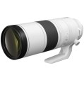 canon 200-800 4.jpg