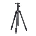 Statyw FotoPro Sherpa Plus czarny + głowica Fotopro 52QS