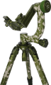 Carbon Tripod + Gimbal Head kit CT-3204 +CH20 Camoflage 8.png