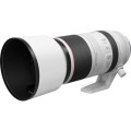Aparat Canon EOS R10 + Canon RF 100-500 mm f/4.5-7.1 L IS USM