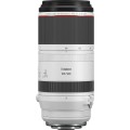 Aparat Canon EOS R6 Mark II + Canon RF 100-500 mm f/4.5-7.1 L IS USM