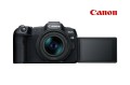 EOS R8 body + RF 24-50mm