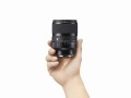 16_50_12_dgdn_a024_handholding_Lmt.jpg