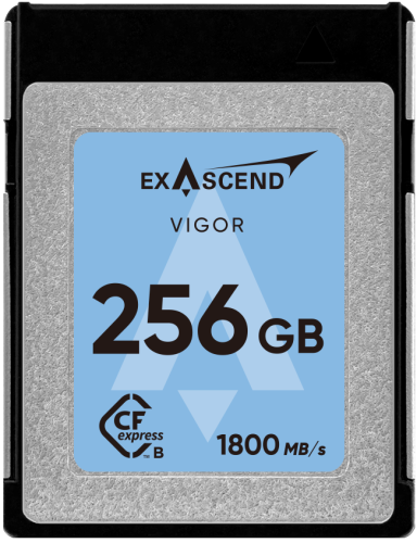 Karta pamięci ExAscend Vigor CFexpress Typ B 256 GB