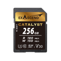 Karta pamięci ExAscend Catalyst 256 GB UHS-I V30 
