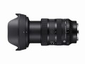 02_PPhoto_24_70_28_dgdn_ii_a024_Lmt_horizontal_tele.jpg