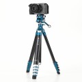 Statyw Benro Cyanbird Carbon Tripod + Głowica FS20PRO