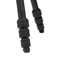 statyw manfrotto befree twist as  13.jpg