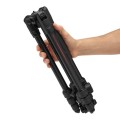 statyw manfrotto befree twist as  6.jpg