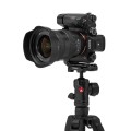 statyw manfrotto befree twist as.jpg