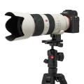 statyw manfrotto befree adcanced as 11.jpg