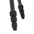 statyw manfrotto befree advances carboon twist 12.jpg