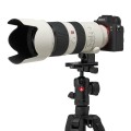 statyw manfrotto befree advances carboon twist 4.jpg