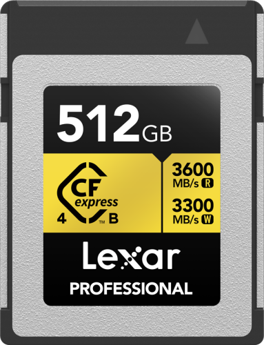 lexar 512 pro gold cf.png
