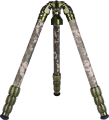 CT-3204.png