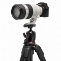 tripod-manfrotto-055-MK055XPRO3-Q6T-camera_and_tele_lens_mount.jpeg