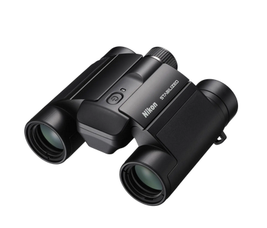 stabilized nikon.png