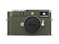 20235_M11-P_safari_front_HiRes.jpg