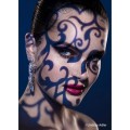 3WESTCOTT Zestaw Gobo Spot by Lindsay.jpg