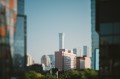 Sample - Obiektyw Laowa 55 mm f_2,8 Tilt-Shift 1x Macro do Sony E_08_HD.jpg