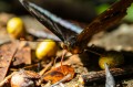 Sample - Obiektyw Laowa 55 mm f_2,8 Tilt-Shift 1x Macro do Sony E_13_HD.jpg