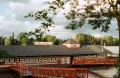 kONO+COLOR+200_004.webp