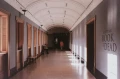 Color+400_Christopher.webp
