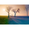 Mirage_01.webp