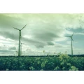 KONO-Monsoon-03.webp