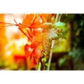 KONO-Sunstroke_13.webp