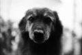 KONO+SLOW+B&W+FILM+ISO+6_003.webp