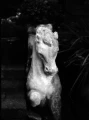 KONO+SLOW+B&W+FILM+ISO+6_005.webp