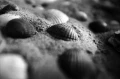 KONO+SLOW+B&W+FILM+ISO+6_004.webp